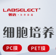 PP-96-FS-0100-WW 96孔100ul全裙邊PCR板，H1切角，白框，白管