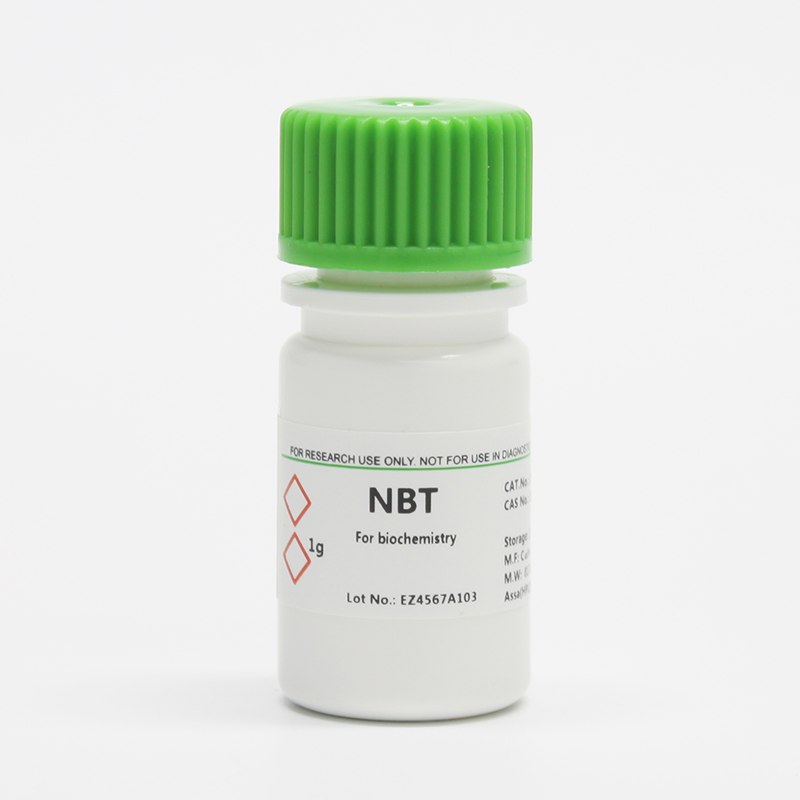 BioFroxx ，1267GR001， 氯化硝基四氮唑蘭 NBT