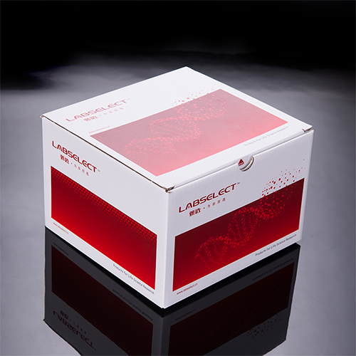 KIT-PMN-50 質(zhì)粒小提試劑盒